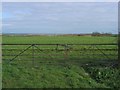 View towards Pitsford Water