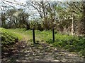 Public Bridleway, viewed from Goodman