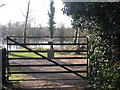 Pond near Wells Farm