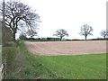 Divided field at Rudge Heath in Shropshire