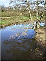 River Lymington at Boldre