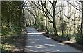 Sturt Lane in the Wyre Forest, Shropshire