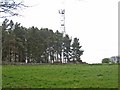 Telecommunications mast at High Waskerley