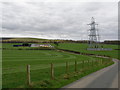 Chipperlagan Farm & Pylons