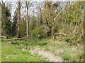 Wood amidst the housing estates