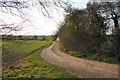 Footpath to Priestley Wood