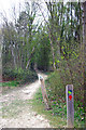 TQ8943 : Dering Wood - waymarked path by Robin Webster