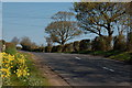 J4389 : The Beltoy Road near Carrickfergus by Albert Bridge