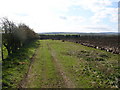 Farmland at Rottenrow