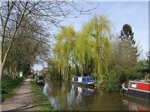 SJ8220 : Good Friday on the Shropshire Union Canal by John M