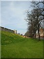 City walls in spring