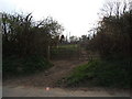 Horses near Luffenhall Common