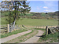 Entrance to a field