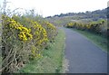 Cycleway, above Abersychan