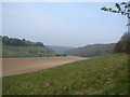 Hougham Woods and Valley