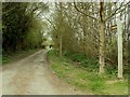 Bridleway and track to Oak Hall