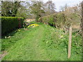 Footpath to How Hill