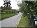 Looking W along Salhouse Road towards Salhouse