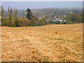 Looking Down on Peasmarsh