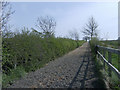 Equine training facility looking up Cheescake Hill