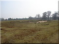 TR0641 : Earthworks in Deer Park, Mersham-Le-Hatch by Adam Hincks
