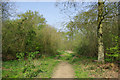 Path, Garnetts Wood