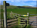 Public footpath across pasture to Biddlestone