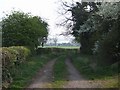 Farm track to Littywood