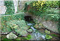 Stream in Cheddar