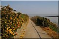 Cliff Path at Holland