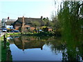 The village pond, Wilton