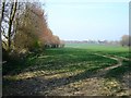 Field north of Pested Lane