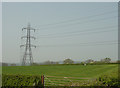 Transmission lines near Barton Gate