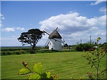 T0707 : Tacumshane Windmill by R Greenhalgh
