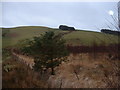 Foel Goch hillside