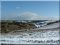 Cotton Dale, Staxton Wold to the left of shot