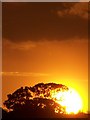 NT7435 : Summer Sun Setting Over Hendersyde by Alistair Murdoch