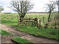 NS4648 : Glenouther Moor, Cattle grid. by wfmillar