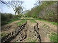 Roman road with ruts