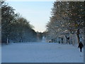 Norton Common  in the snow.