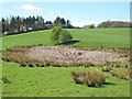 Pond, Windlestone Lane