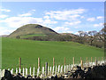 Pasture near Knockelly