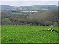 View Over Pasture