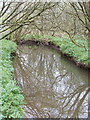 River Tamar above the lakes