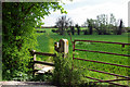 Footpath through the wheat