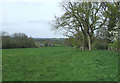 Meadow, Wooton, Shropshire