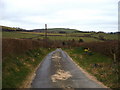 Lane to Llwydiarth