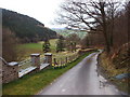 The lane at Vaynor Farm