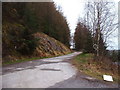 Forestry road near Llanidloes