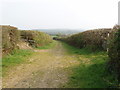 Farm track to Knowle